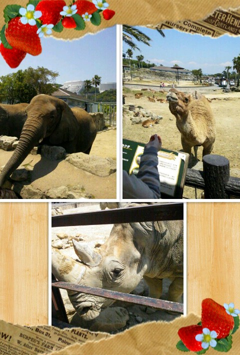 1367808106521.jpg image