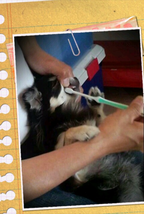 1369917969049.jpg image