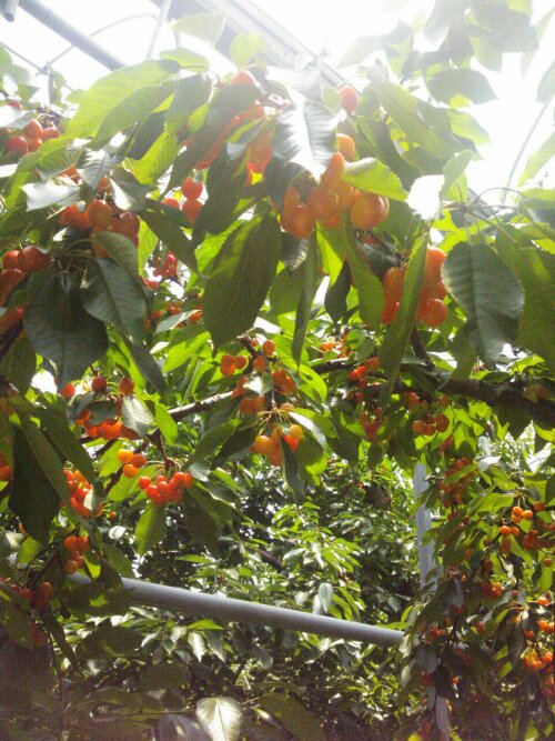 20130624_133758.jpg image