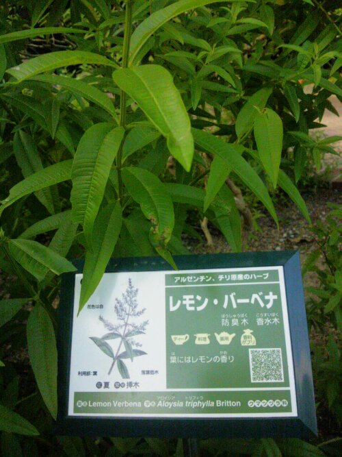 20130810_222245.jpg image