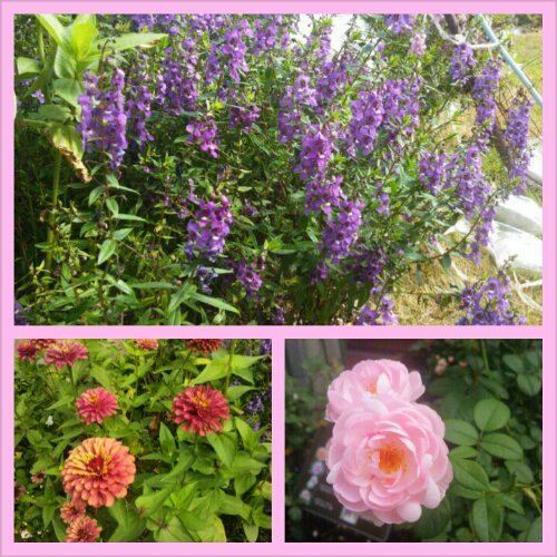 PhotoGrid_1376141136954.jpg image