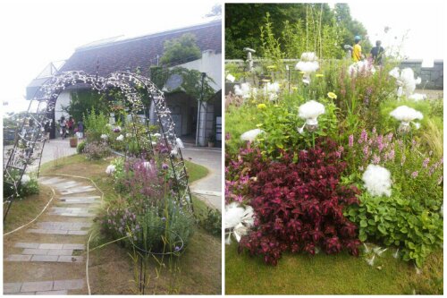 PhotoGrid_1376143074573.jpg image