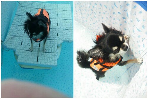 PhotoGrid_1376635213277.jpg image