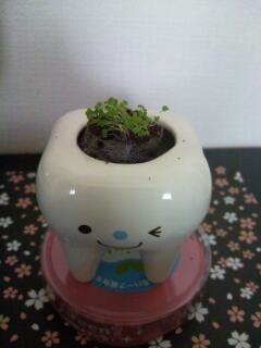 20131007_235747.jpg image