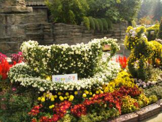 20131117_203804.jpg image