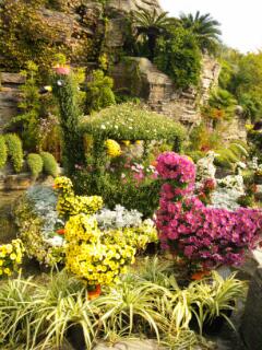 20131117_203816.jpg image