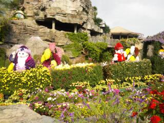 20131117_204710.jpg image