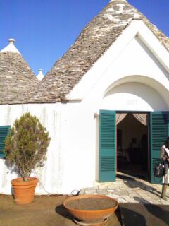 20131212_114623.jpg image