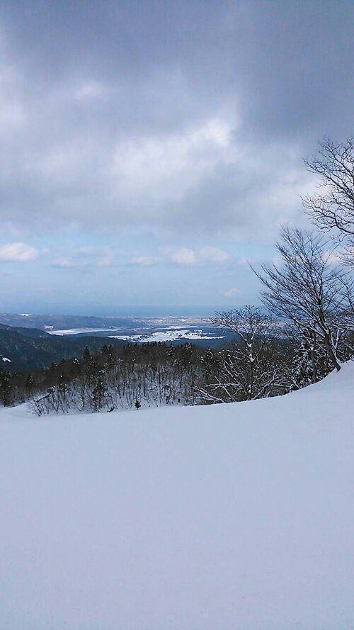 1391573230839.jpg image