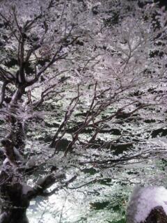 20140130_130920.jpg image