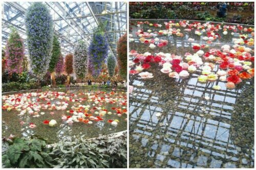 20140517_194147.jpg image