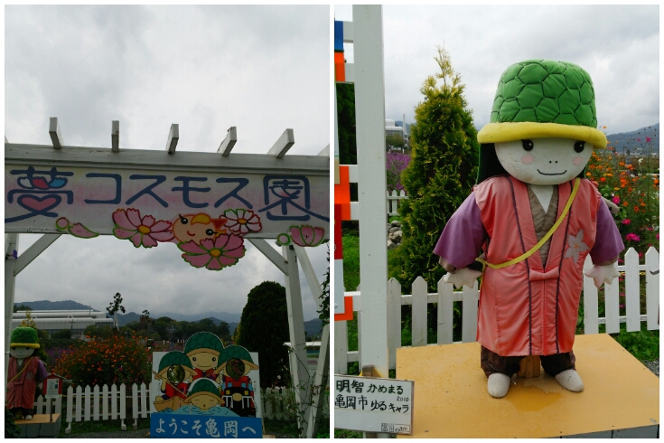 PhotoGrid_1415017613885.jpg image