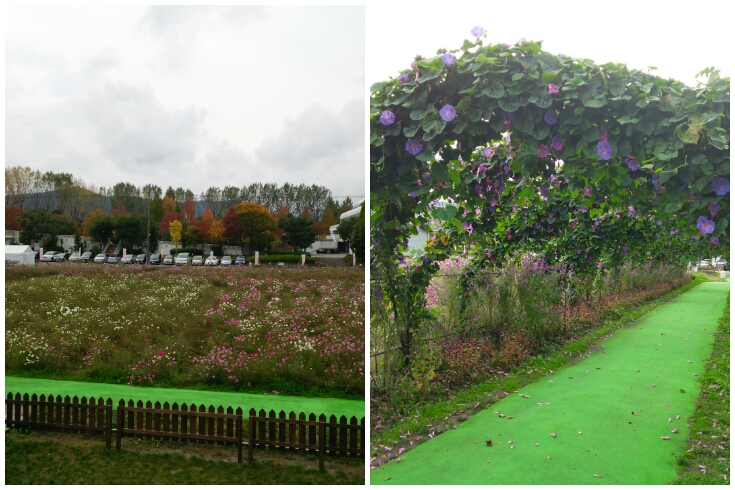 PhotoGrid_1415017713495.jpg image