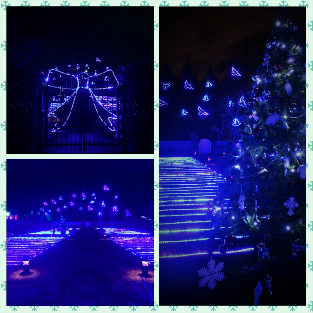 wp-1418873913313 image