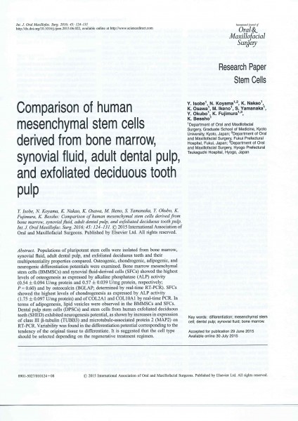 スキャンしたイメーシ゛